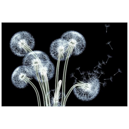 Empire Art Direct 48" x 38" 3D Dancing Dandelions Frameless Free Floating Printed Tempered Glass Wall Art